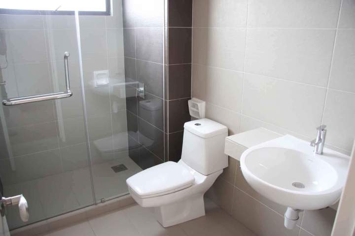Rénovation pièce d'eau Cholet